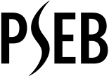 Pakistan Software Export Board Logo